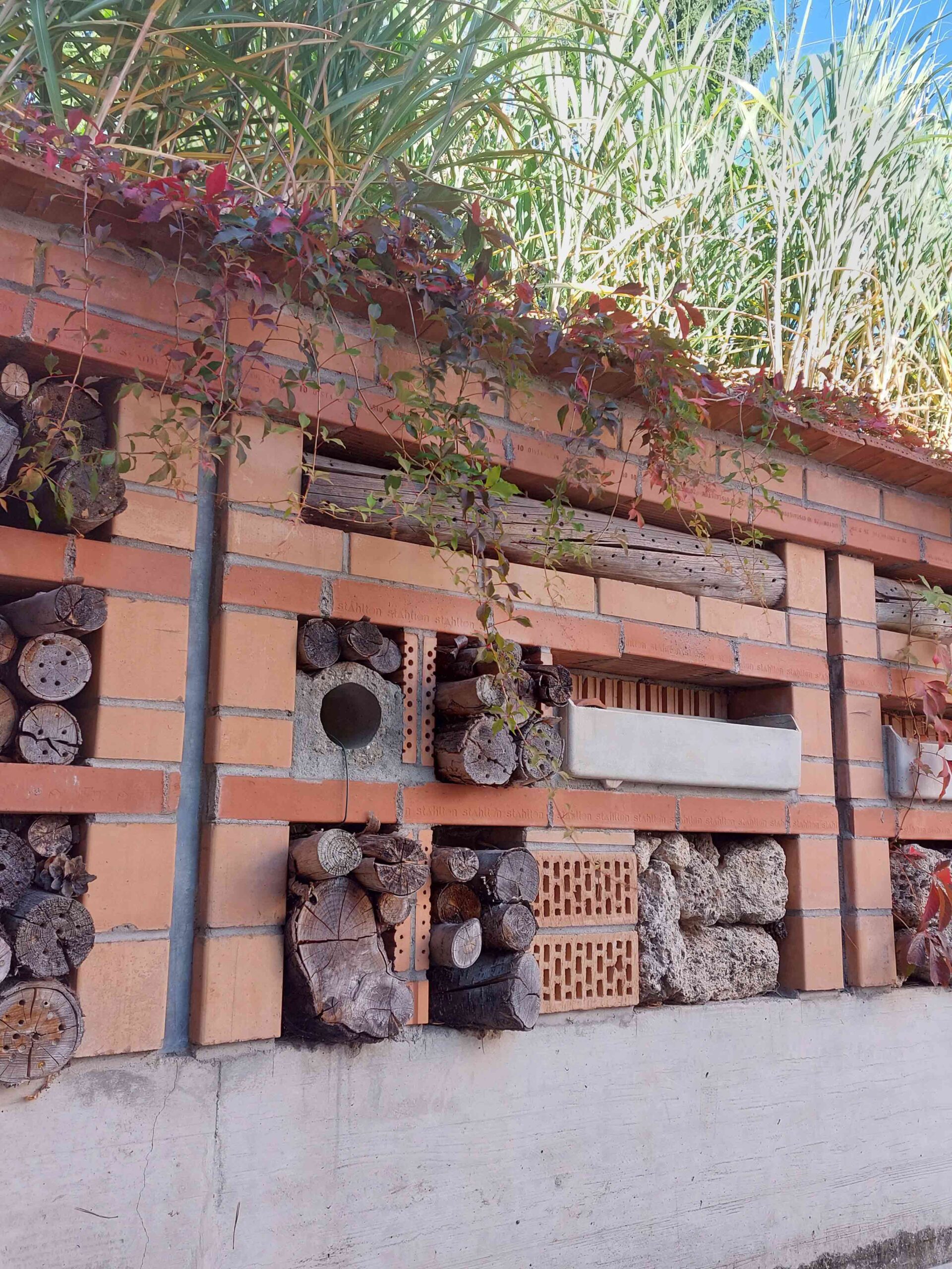 Spezielles_Galerie_08